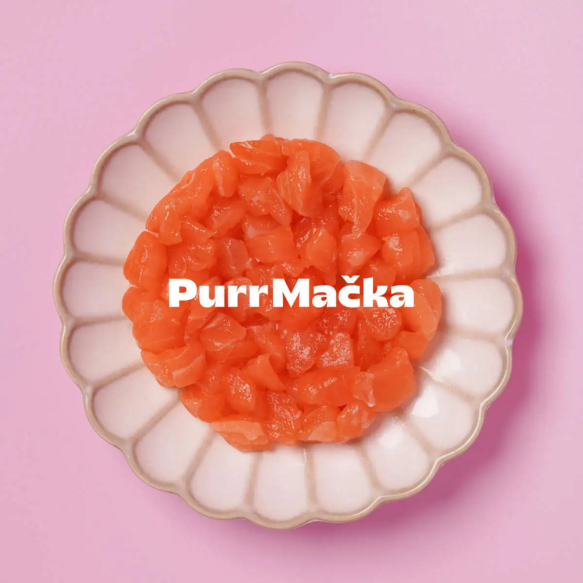 Salmon for your cat + Charity