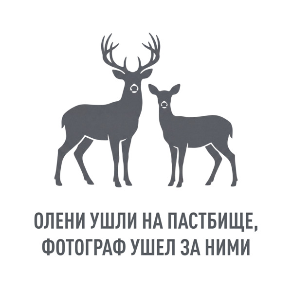 Соус Сацебели 