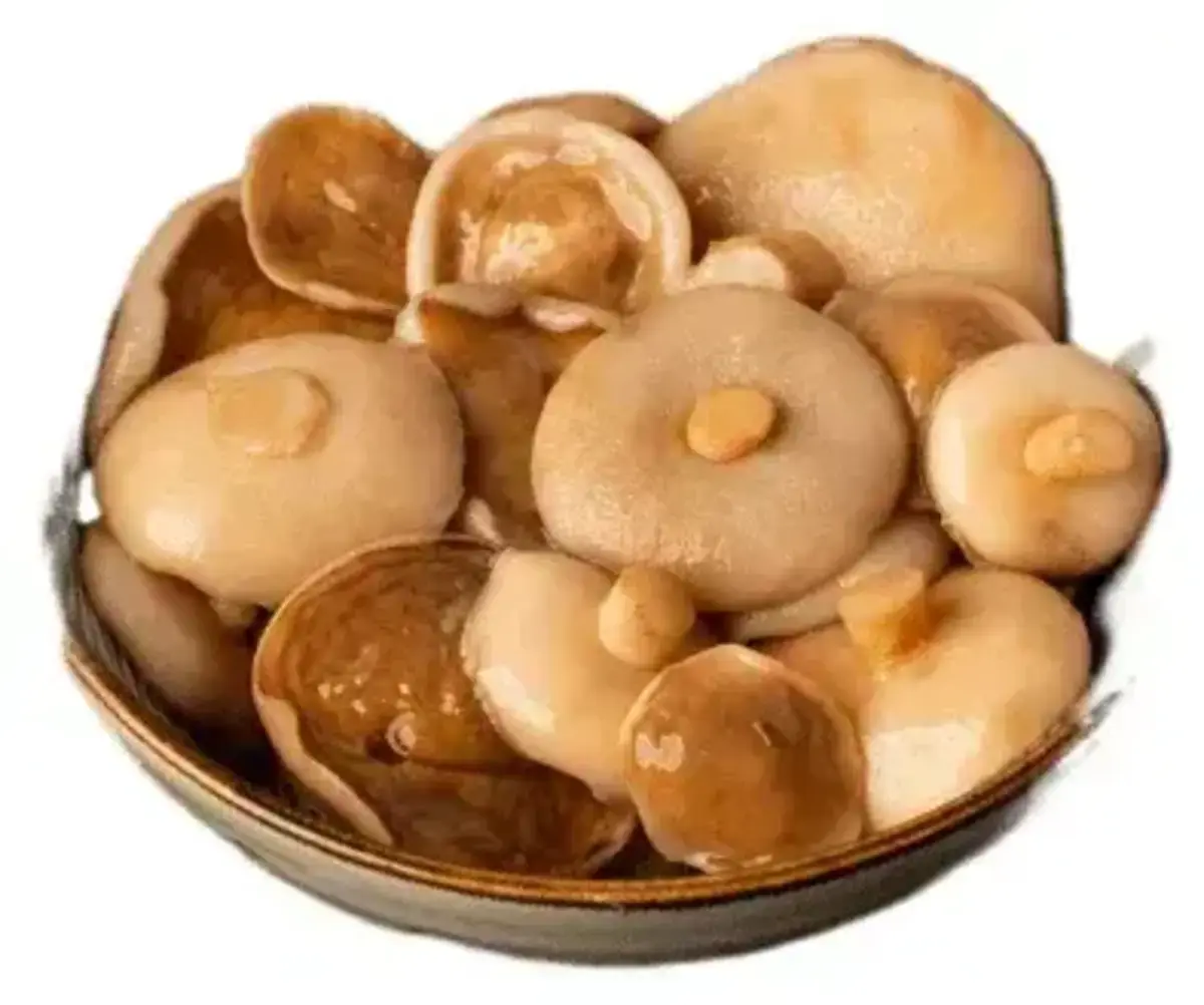 Маслята Маринованные