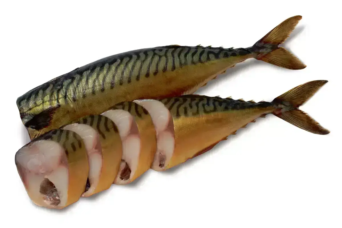 Скумбрия х/к