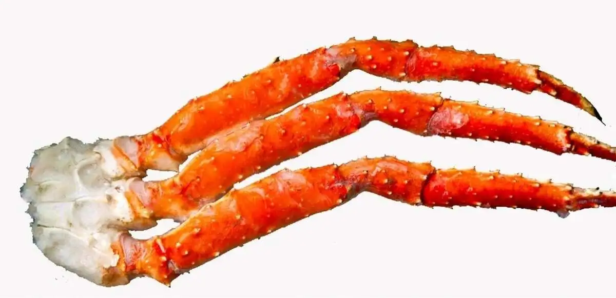 Клешня Краба