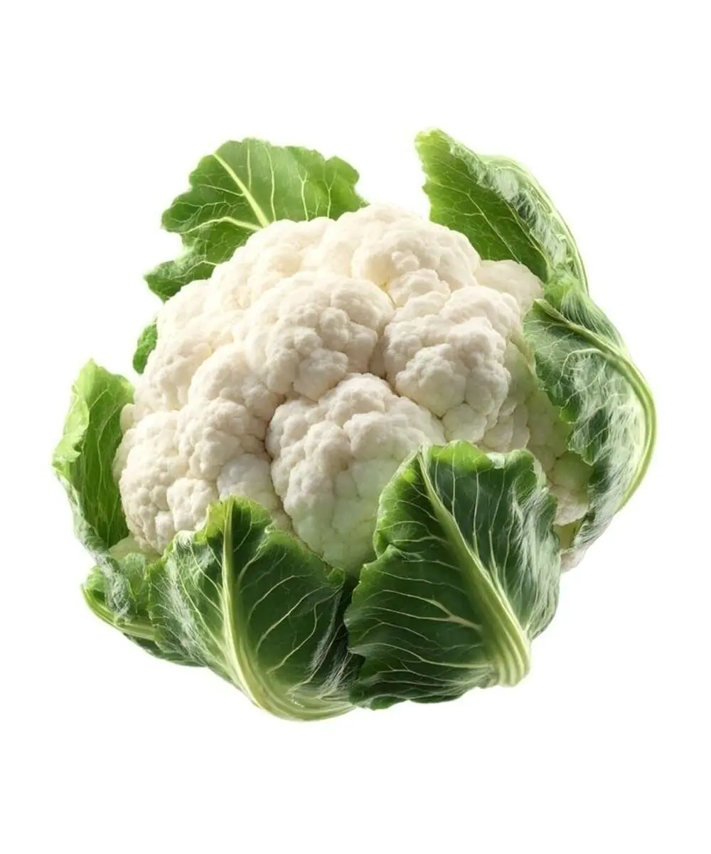 Цветная Капуста(м)