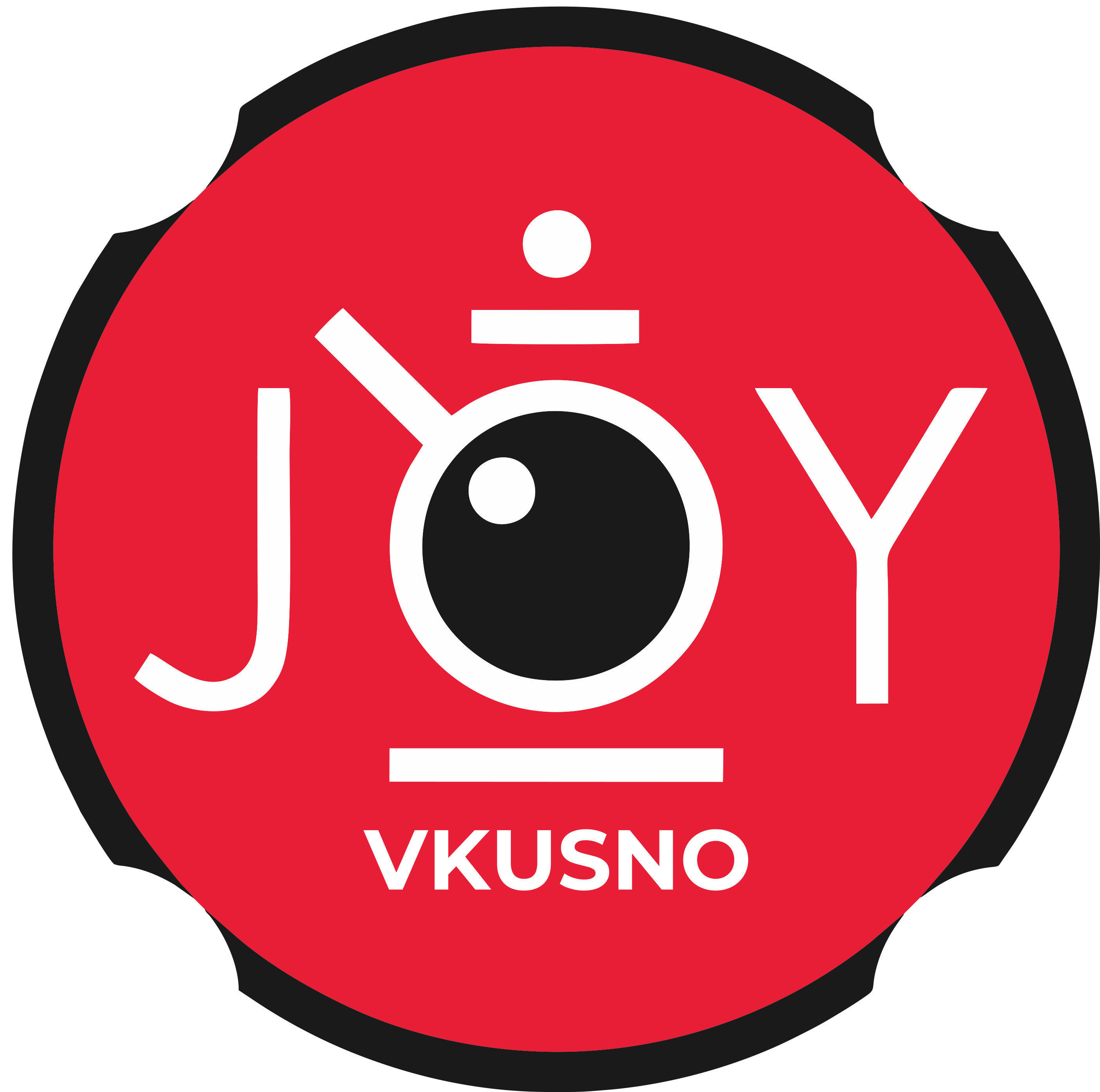 Joy Vkusno