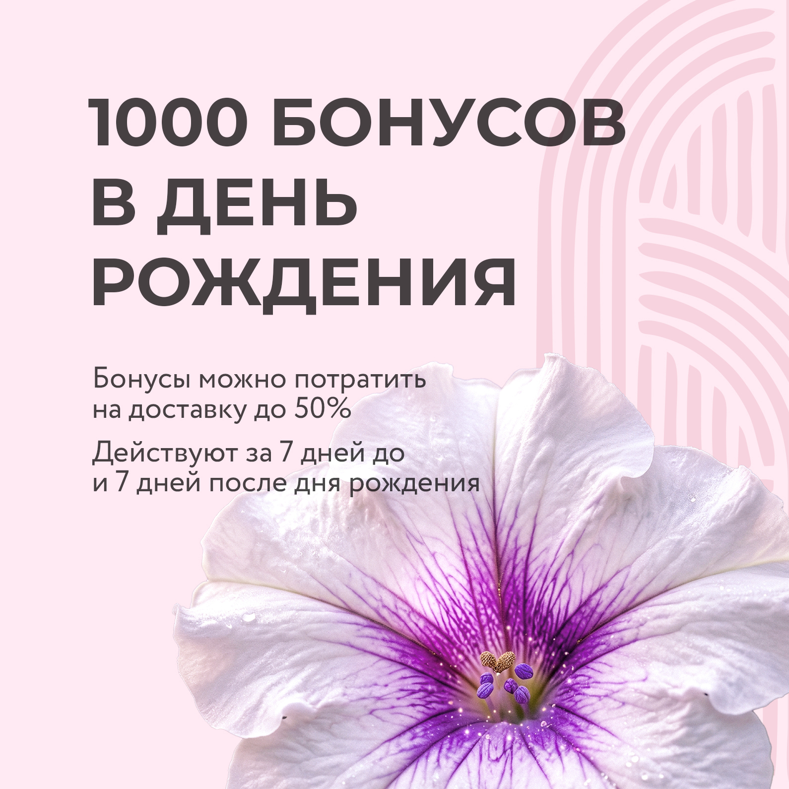 Ролл в подарок